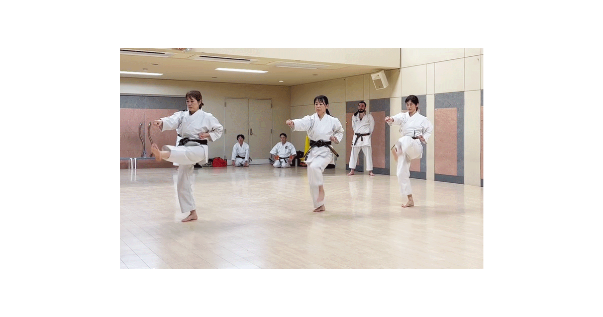 沖縄空手道の歩み 沖縄空手道 JUMBI-UNDO & SANCHIN (old video