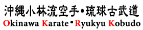 シニアも安心・安全　沖縄小林流空手・琉球古武道　本田道場（Ryukyu Kobudo Shiｍbukan Honda Dojo）